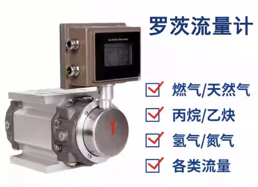 天然氣腰輪流量計
