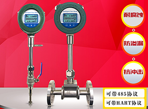 DN25熱式氣體質(zhì)量流量計(jì)